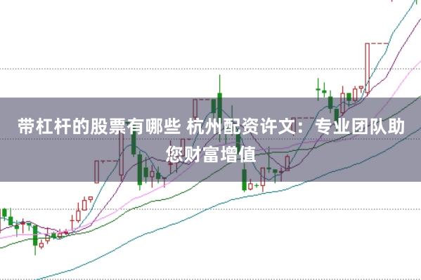 带杠杆的股票有哪些 杭州配资许文：专业团队助您财富增值