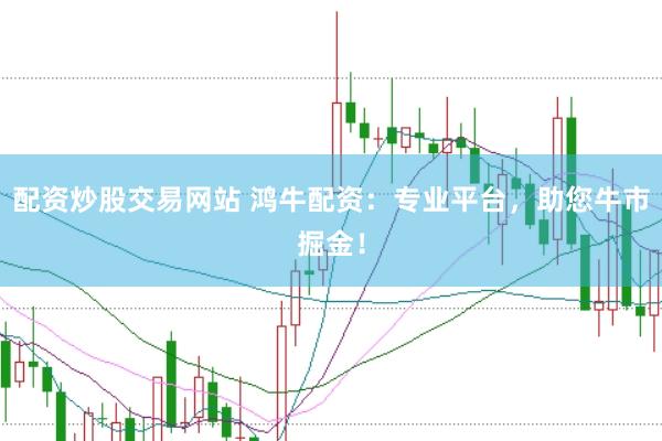 配资炒股交易网站 鸿牛配资：专业平台，助您牛市掘金！