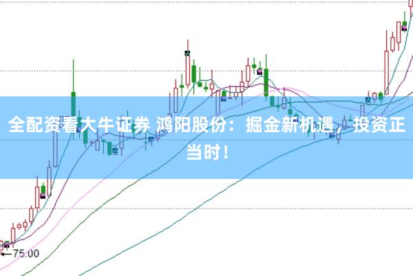 全配资看大牛证券 鸿阳股份:掘金新机遇,投资正当时!