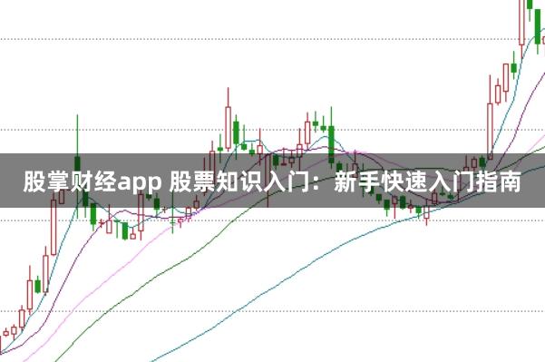股掌财经app 股票知识入门：新手快速入门指南
