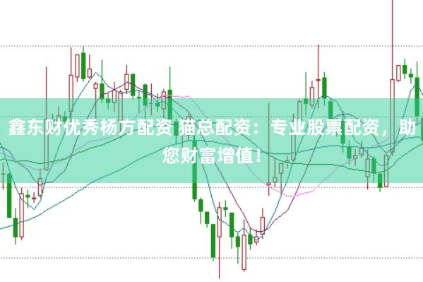 鑫东财优秀杨方配资 猫总配资：专业股票配资，助您财富增值！