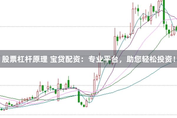 股票杠杆原理 宝贷配资：专业平台，助您轻松投资！
