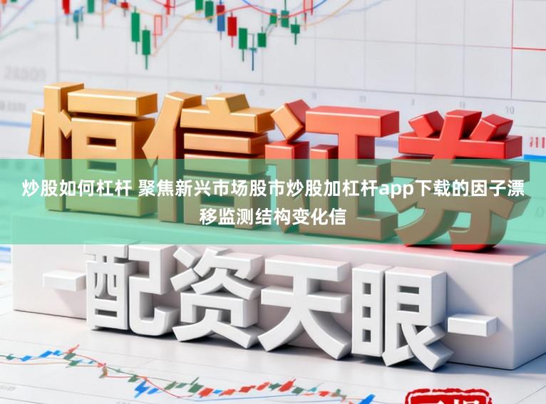 炒股如何杠杆 聚焦新兴市场股市炒股加杠杆app下载的因子漂移监测结构变化信